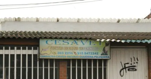 CESAVET CENTRO DE SALUD VETERINARIO BOGOTÁ CESAVET CENTRO DE SALUD VETERINARIO BOGOTÁ